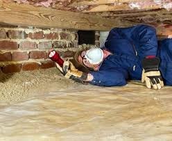 Building and Pest Inspection, Building Inspection 