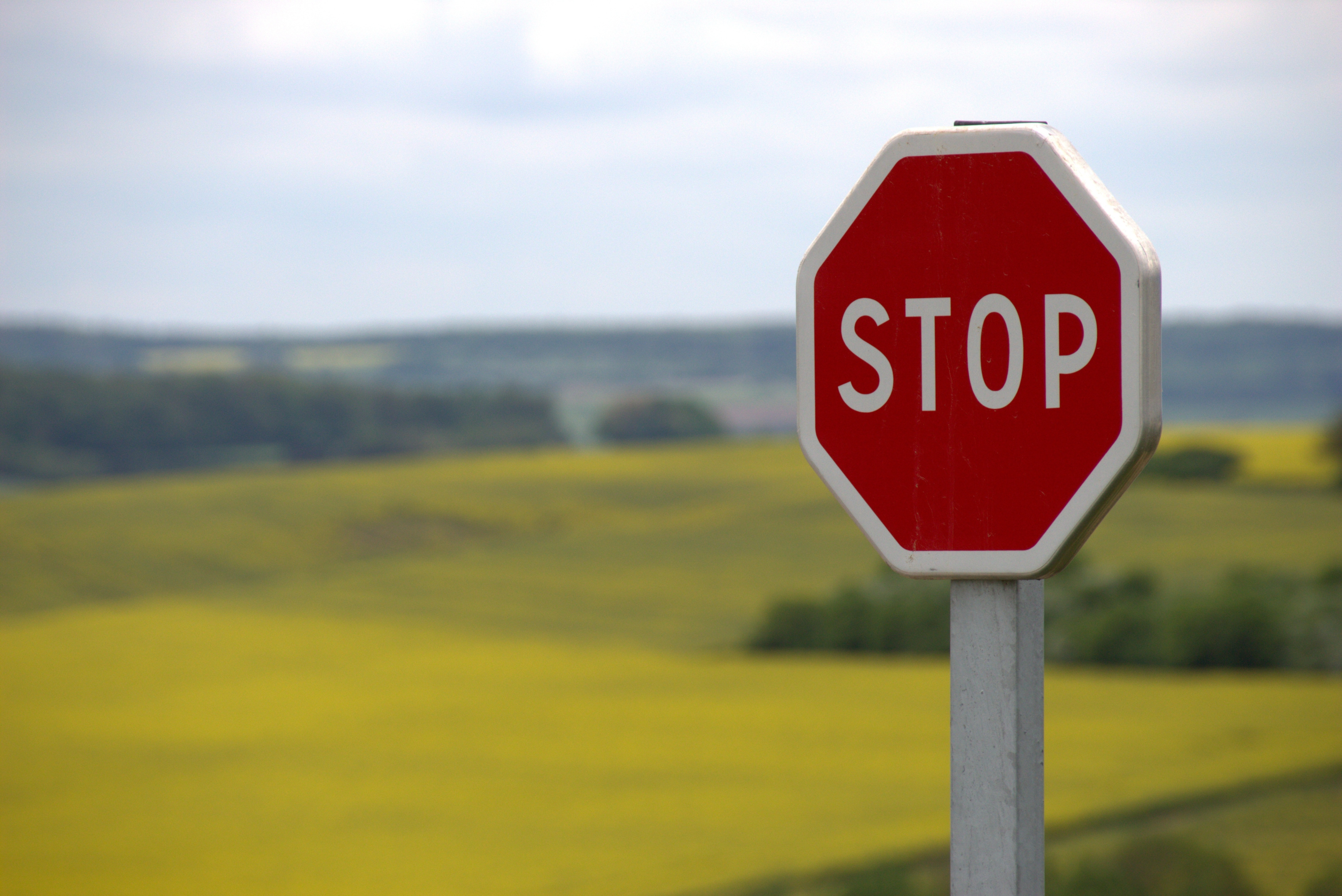 A stop sign on prairie