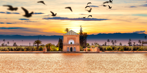 Tout savoir sur le Jardin de la Menara à Marrakech