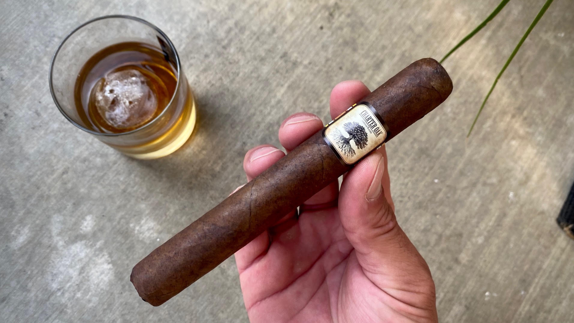 Foundation Charter Oak Maduro First Impressions