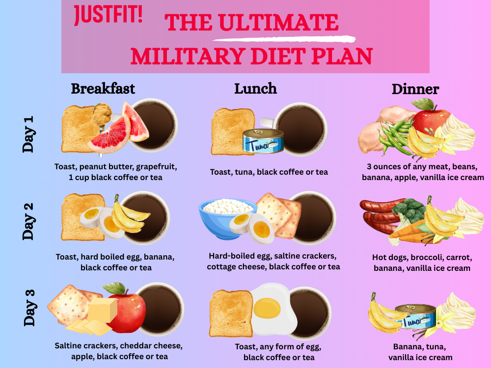 free military diet plan PDF