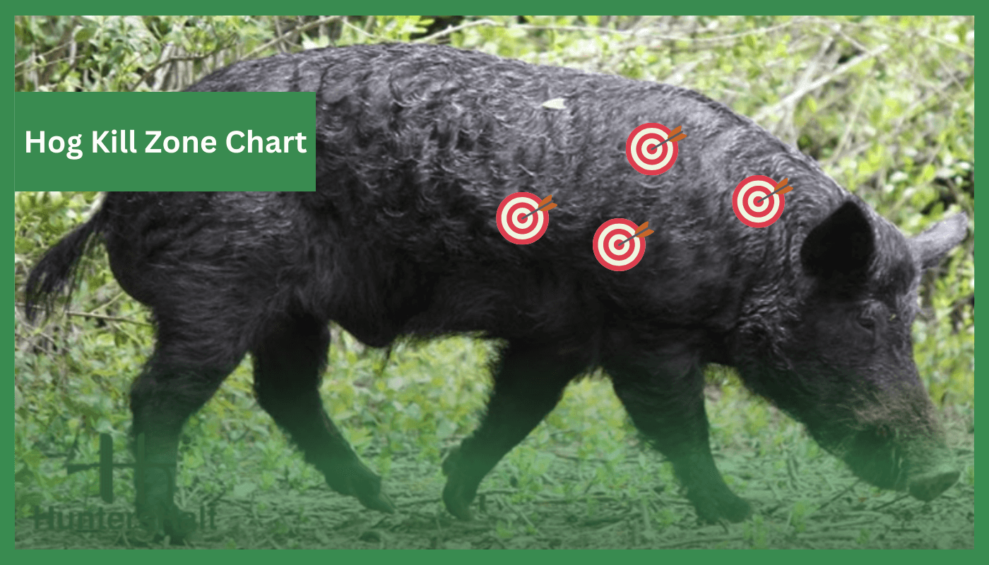 Wild hogs killzone chart