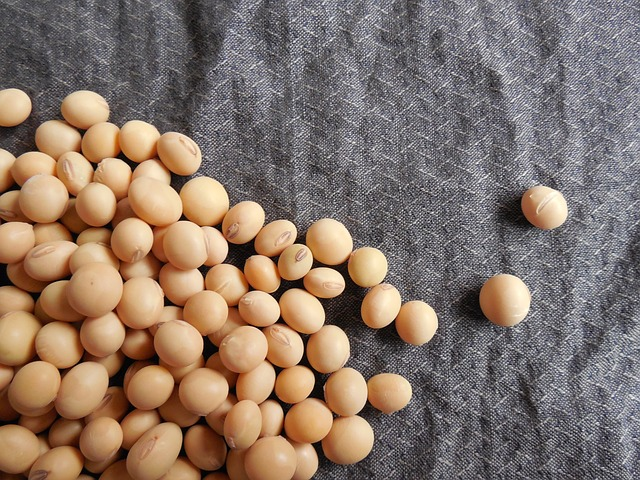 soybeans, beans, soy