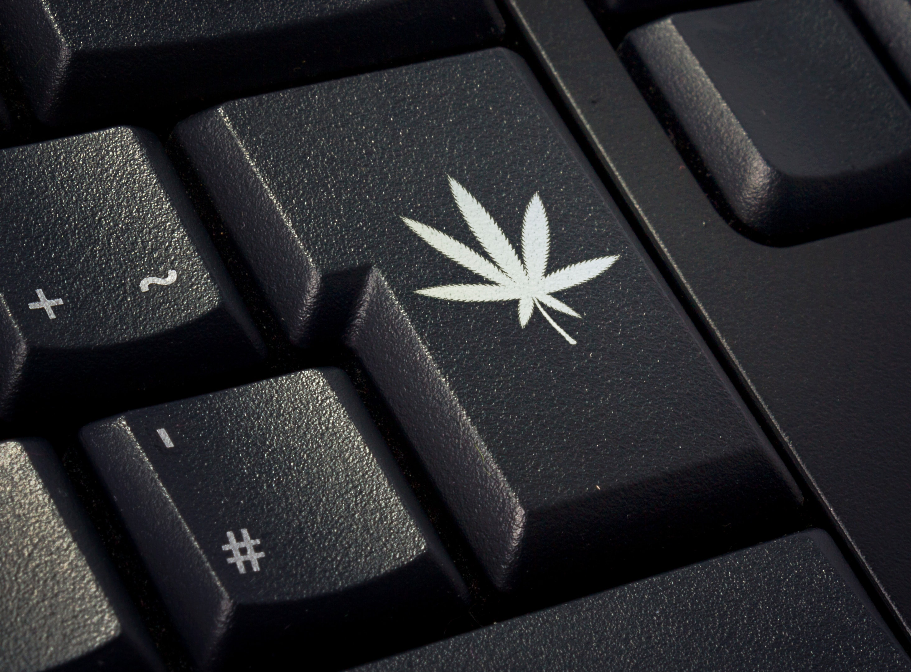 Stay up-to-date on all we have in stock. From terpenes to multiple variants of hemp-based products, you're bound to find something that suits you.