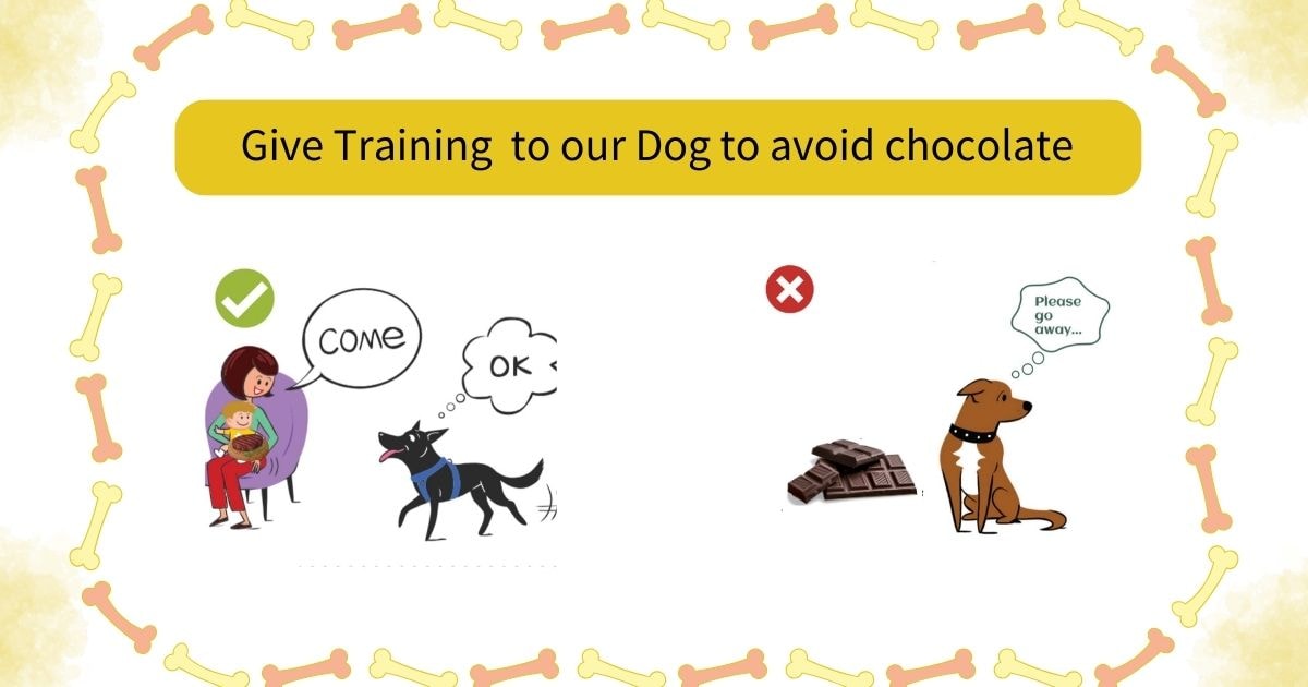 Illustration promoting dog training to avoid chocolate. Shows a person calling a dog and a dog rejecting chocolate, emphasizing safe behavior.