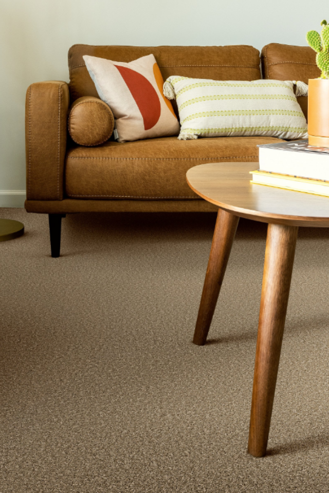 brown carpet in living room