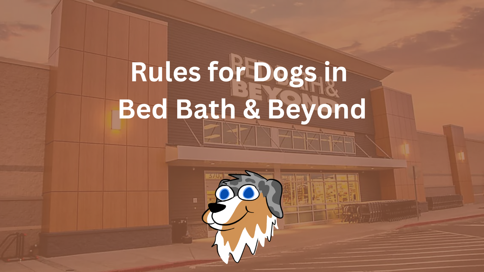 Image Text: "Rules for Dogs in Bed Bath & Beyond"