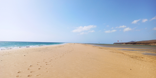 plage de Essaouira une destination de surf pour votre voyage