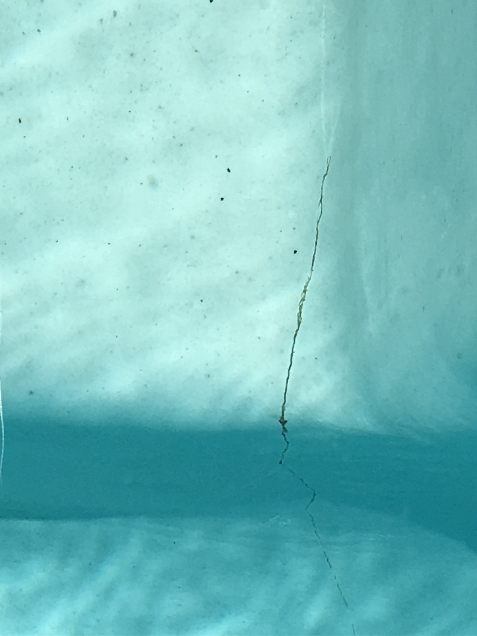 This is a plaster pool that has a crack on the surface. This would be a reason to consider resurfacing your pool.