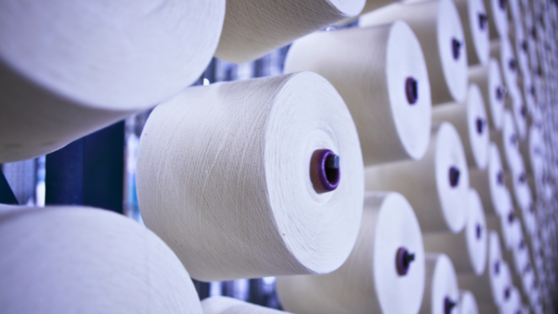 Many spools of white yarn are lined up in a factory