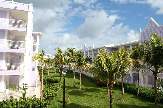 Our room view RIU Mongego Bay garden view