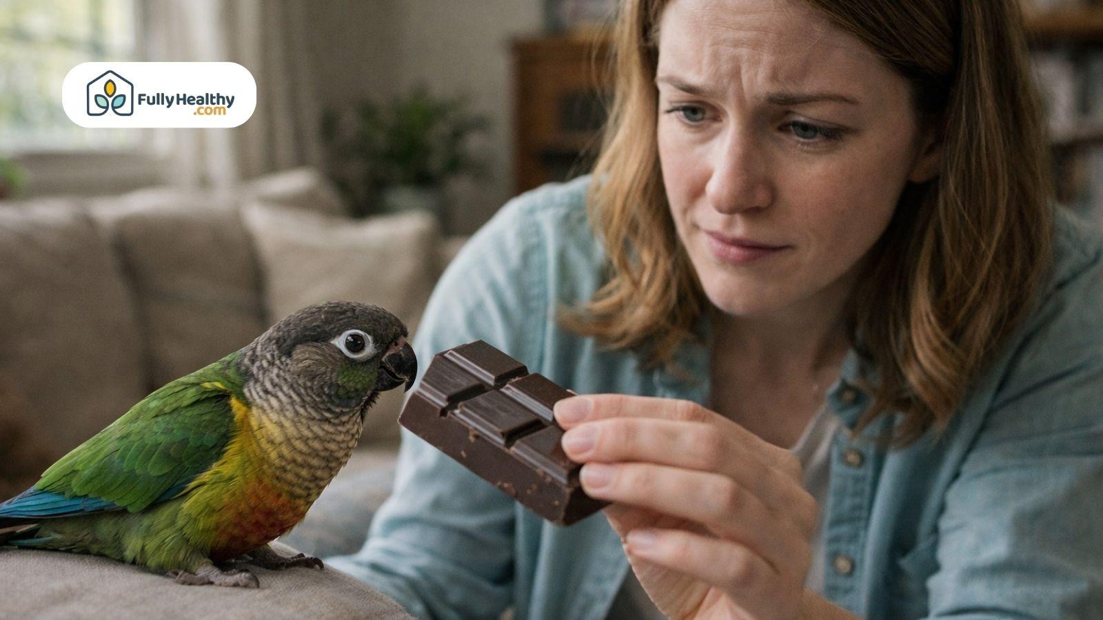 Concerned woman holding chocolate near parrot indoors realistic pet safety scene