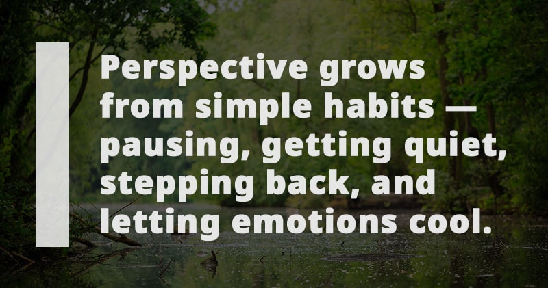 An image featuring the phrase: “Perspective grows from simple habits — pausing, getting quiet, stepping back, and letting emotions cool.”