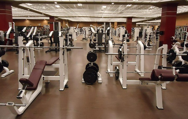 gym, equipment, weights