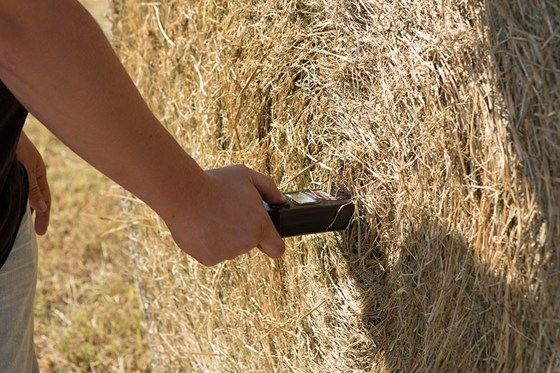 A person holding a hay moisture tester, checking the moisture content of hay after baling