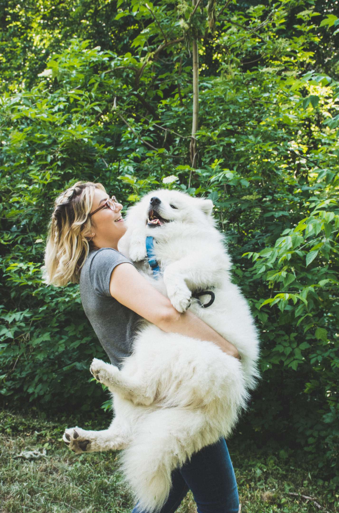 A woman picking up a huge furry dog in her arms with the green bush background.