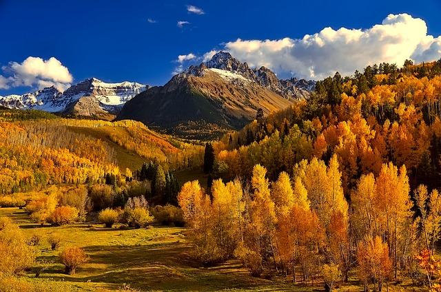 colorado, fall, autumn