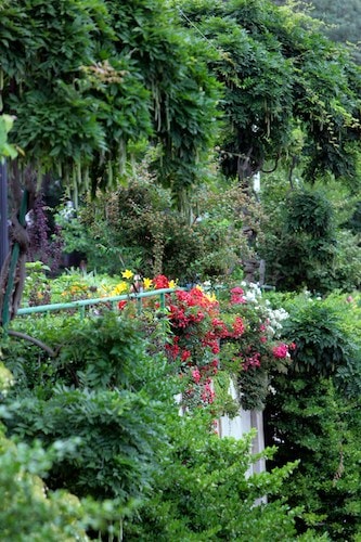 Bridge of Flowers in Shelburne Falls