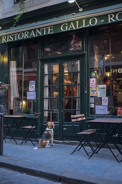 french restaurant, brewery, paris