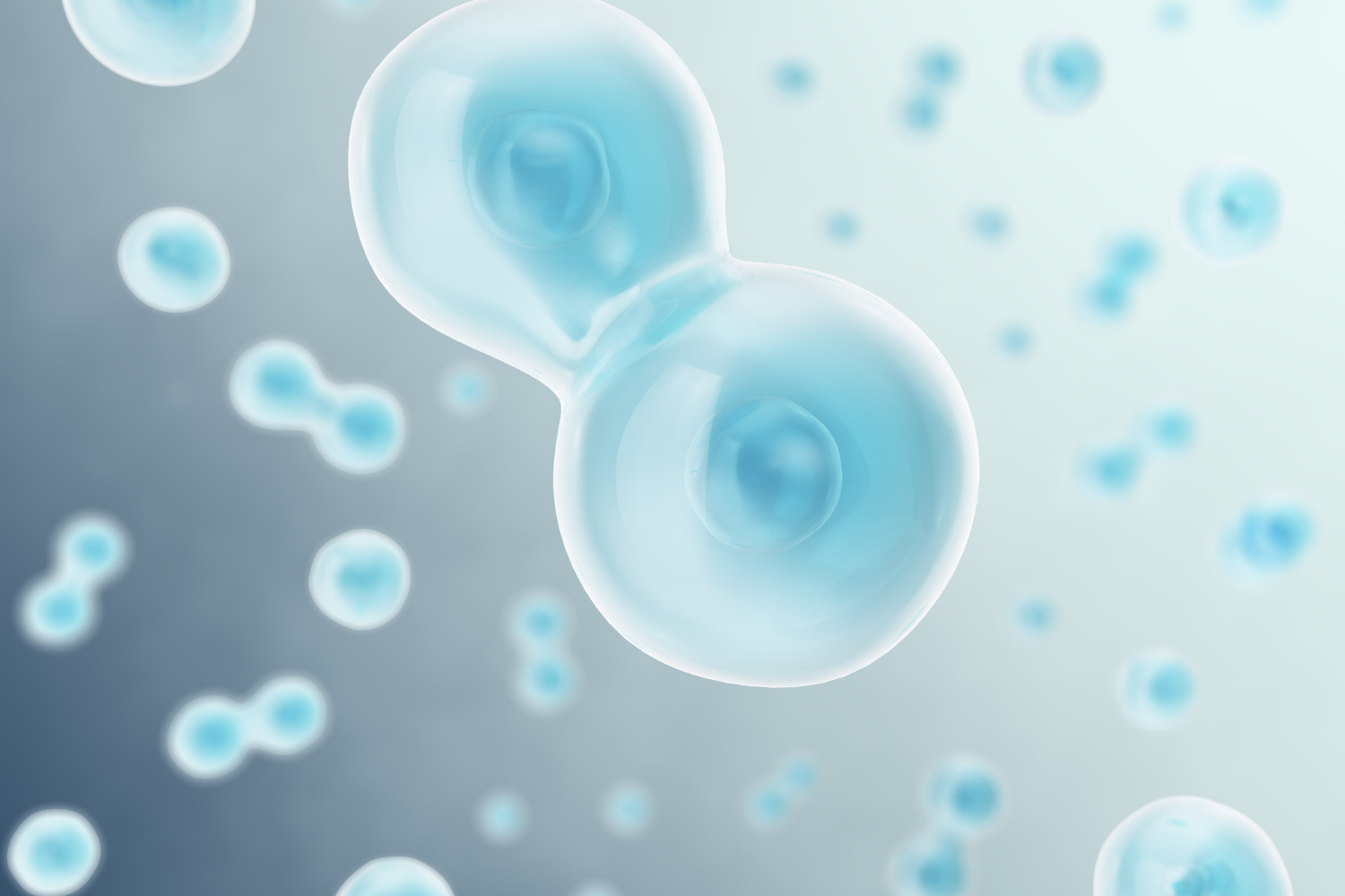 Illustration of cells.