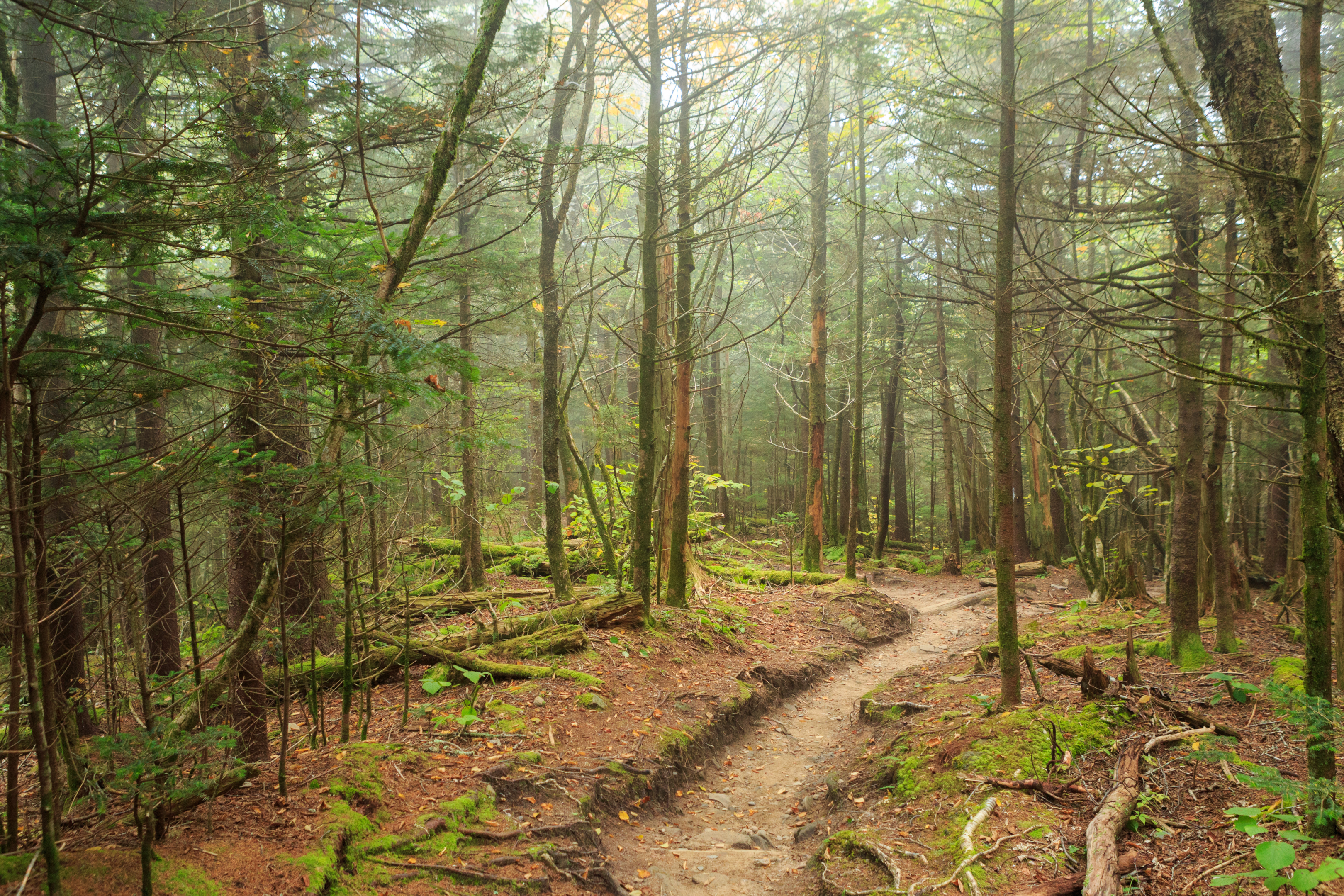 Long-Distance Hiking Trails in the US