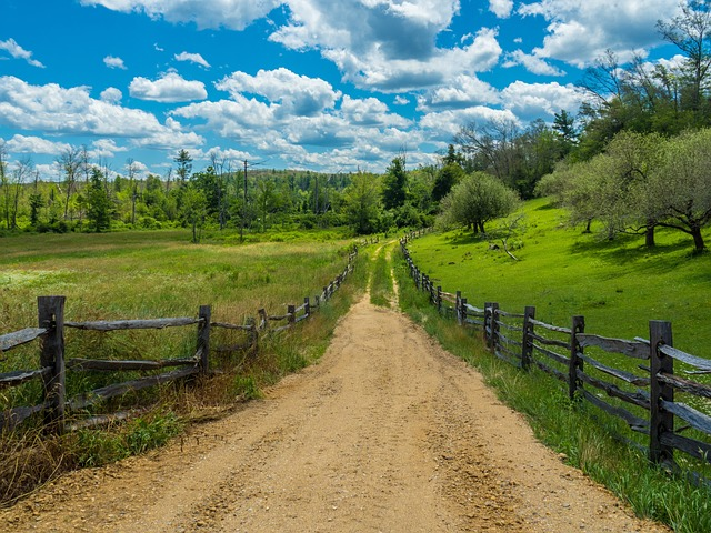 Summer New England