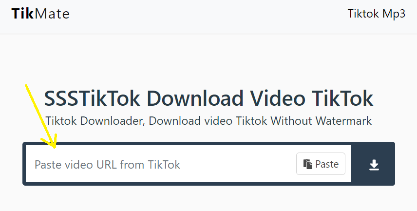 TikTok MP3 Downloader - Download TikTok MP3 Online