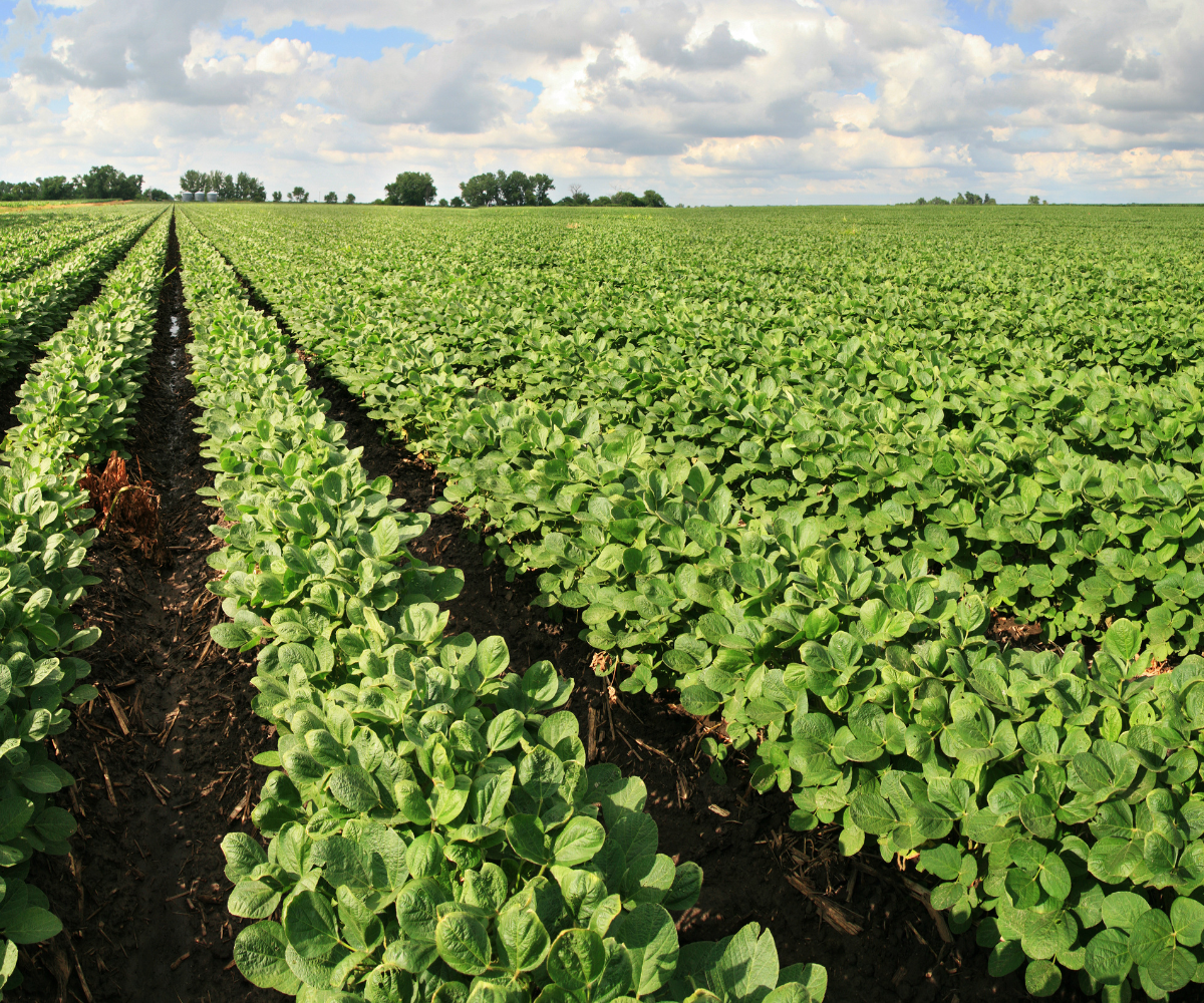 Soil and crop health