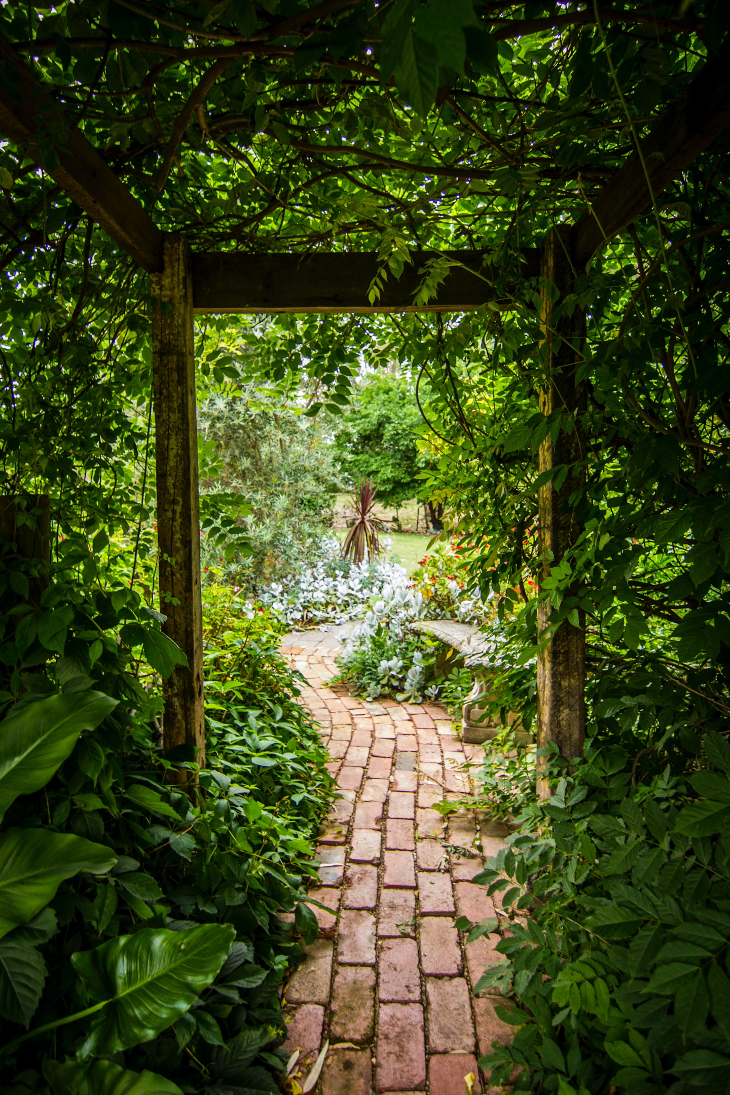 Wales garden path winding through a trellis of green leaves