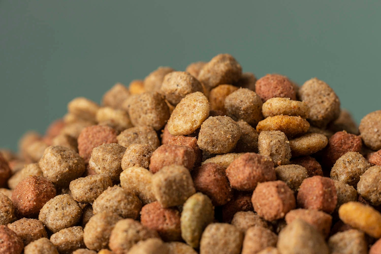 Preventing Dog Food Contamination