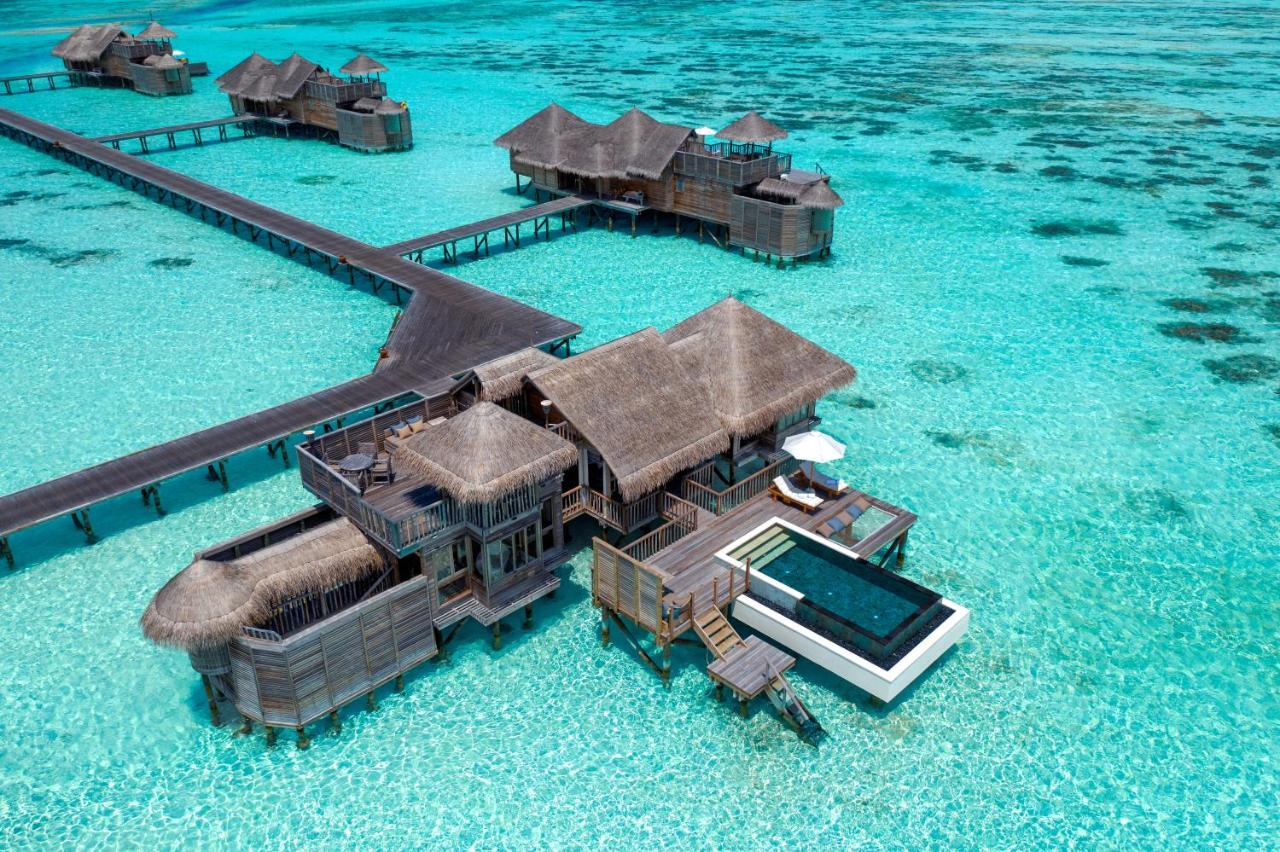 amazing house reef