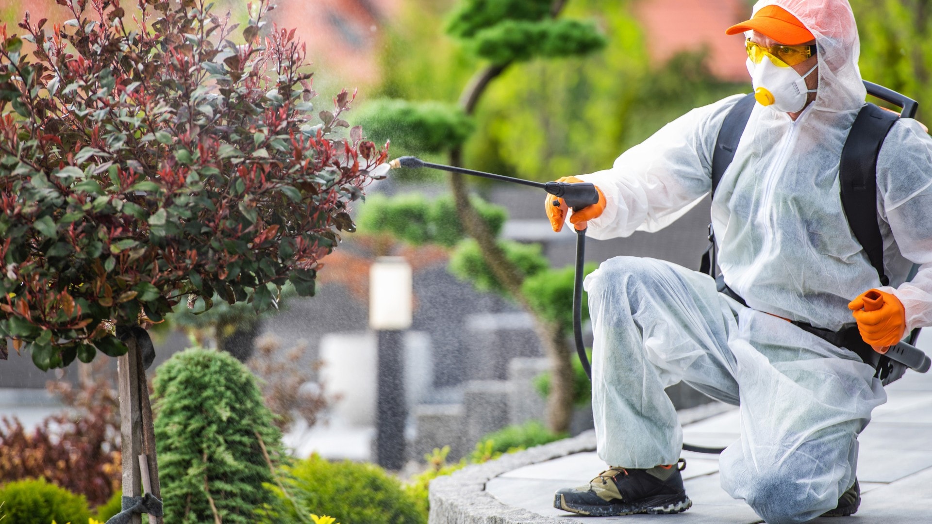 A pest control operator that may be impacted by the ban on Neonics in California.