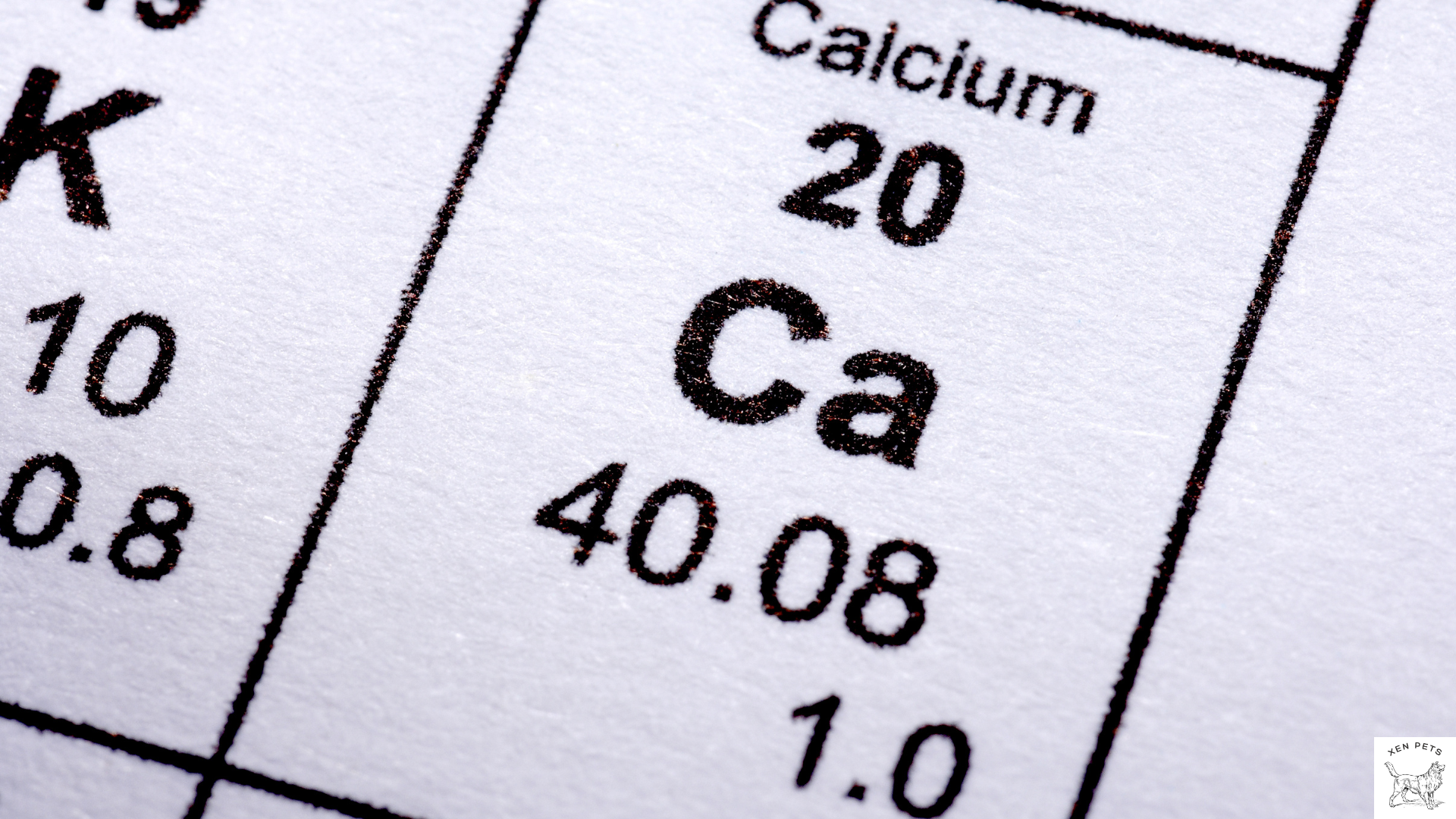 calcium in the periodic table