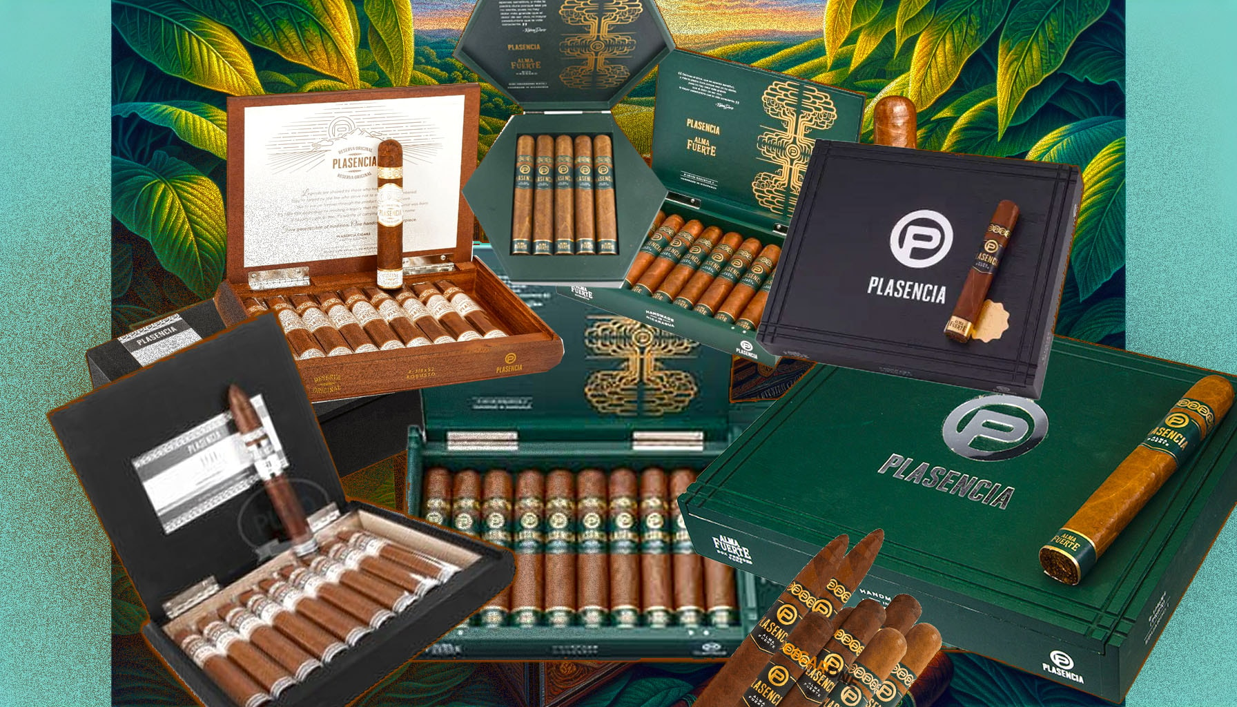 A colorful overview of various Plasencia cigars.