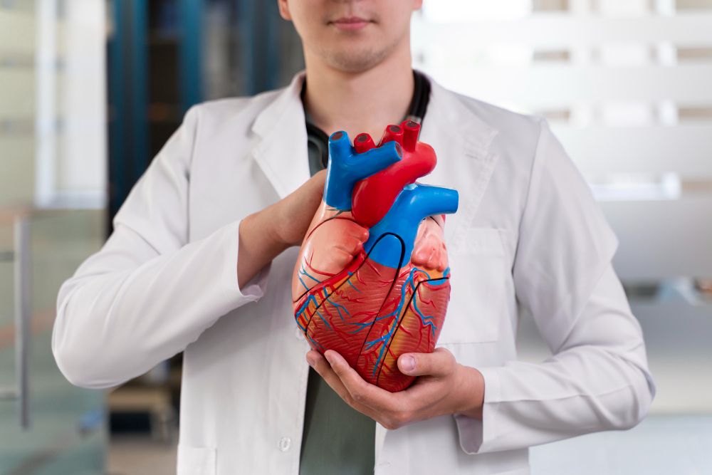 A vitamina B12 diminui a concentração de homocisteína, que pode causar doenças cardiovasculares. Fonte da imagem: Freepik.