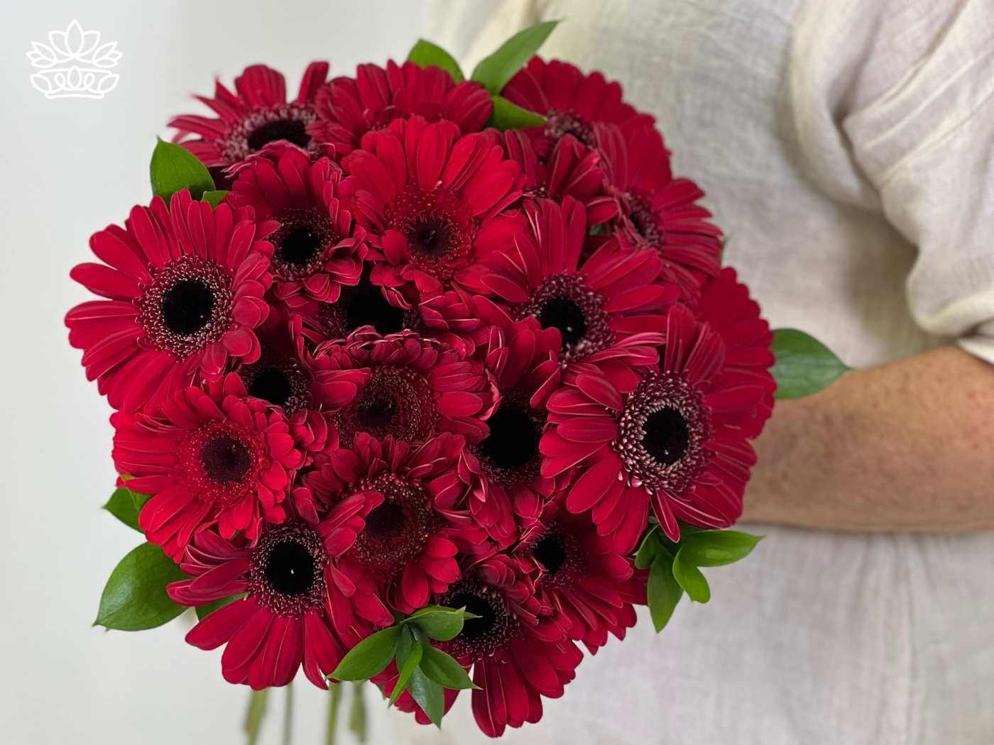 A bouquet of deep red Gerbera daisies, arranged with green foliage and held with care. Fabulous Flowers and Gifts. Gerberas Collection. Delivered with Heart.