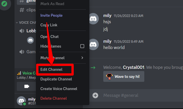 Picture showing the Edit Channel menu on Discord