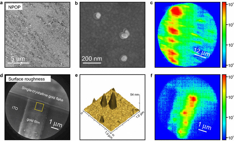 example of surface irregularities of the gold metal