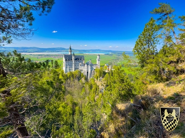 Neuschwanstein Tour Private Driver from Munich 10 Neuschwanstein tour private driver