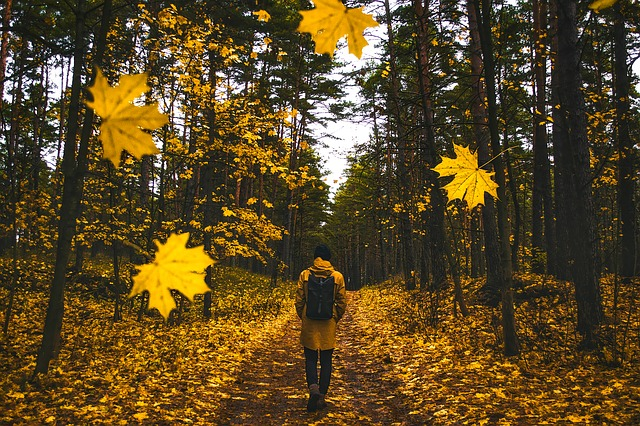 a man walking on a path with autumn leaves falling around him