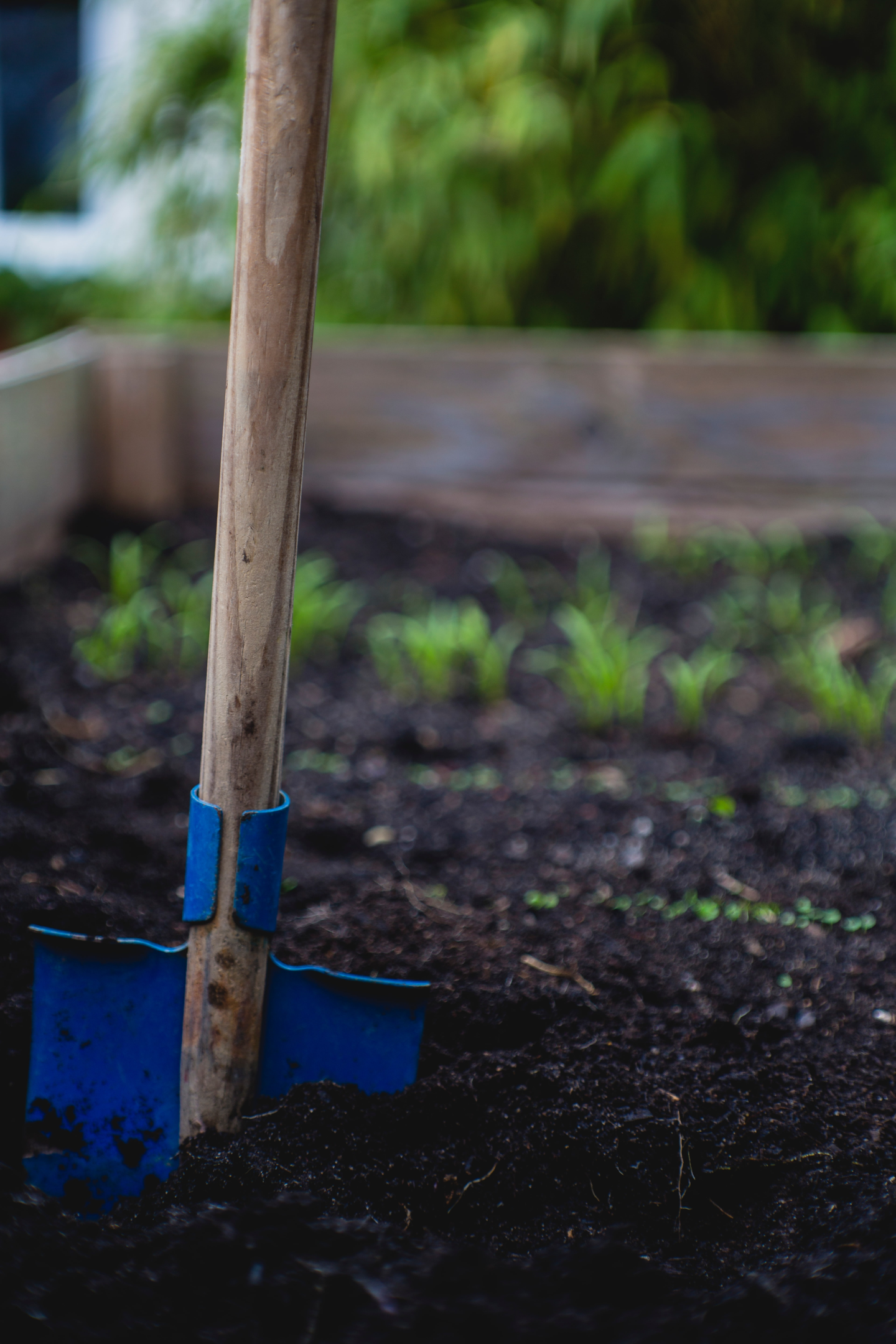 Potting soil belongs in the garden