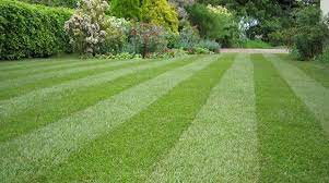 A beautifully patterned lawn created using a lawn roller