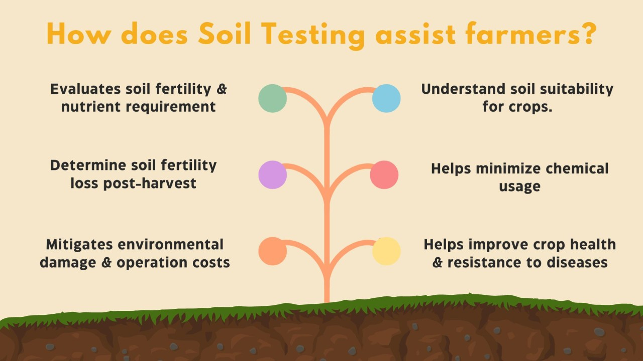 Benefits of regular soil testing