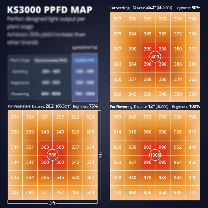 KS3000 PPFD Map