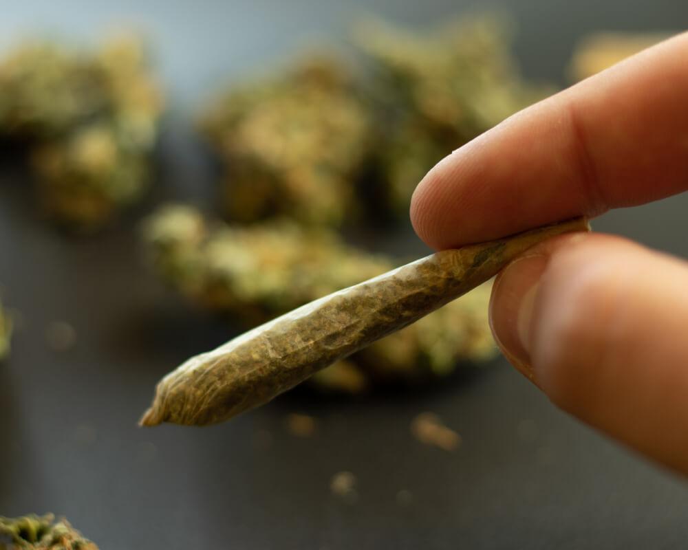 a person holding a CBD flower joint