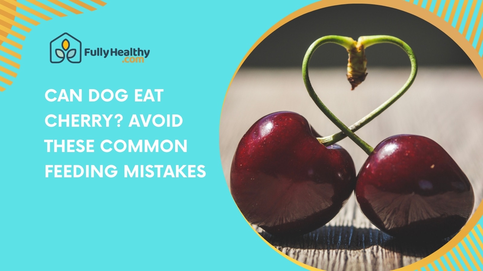 Can Dog Eat Cherry? Avoid These Common Feeding Mistakes