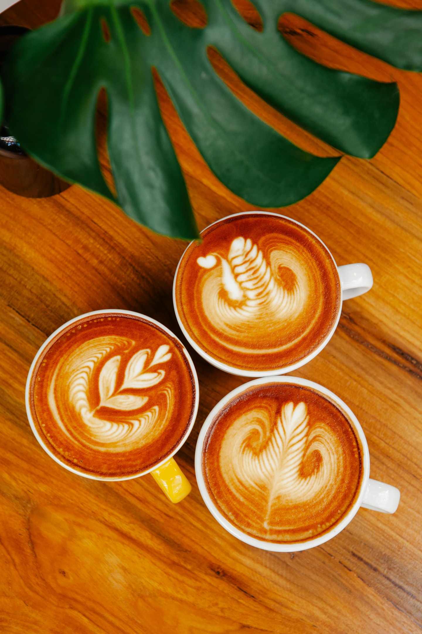 cups of latte on wooden table