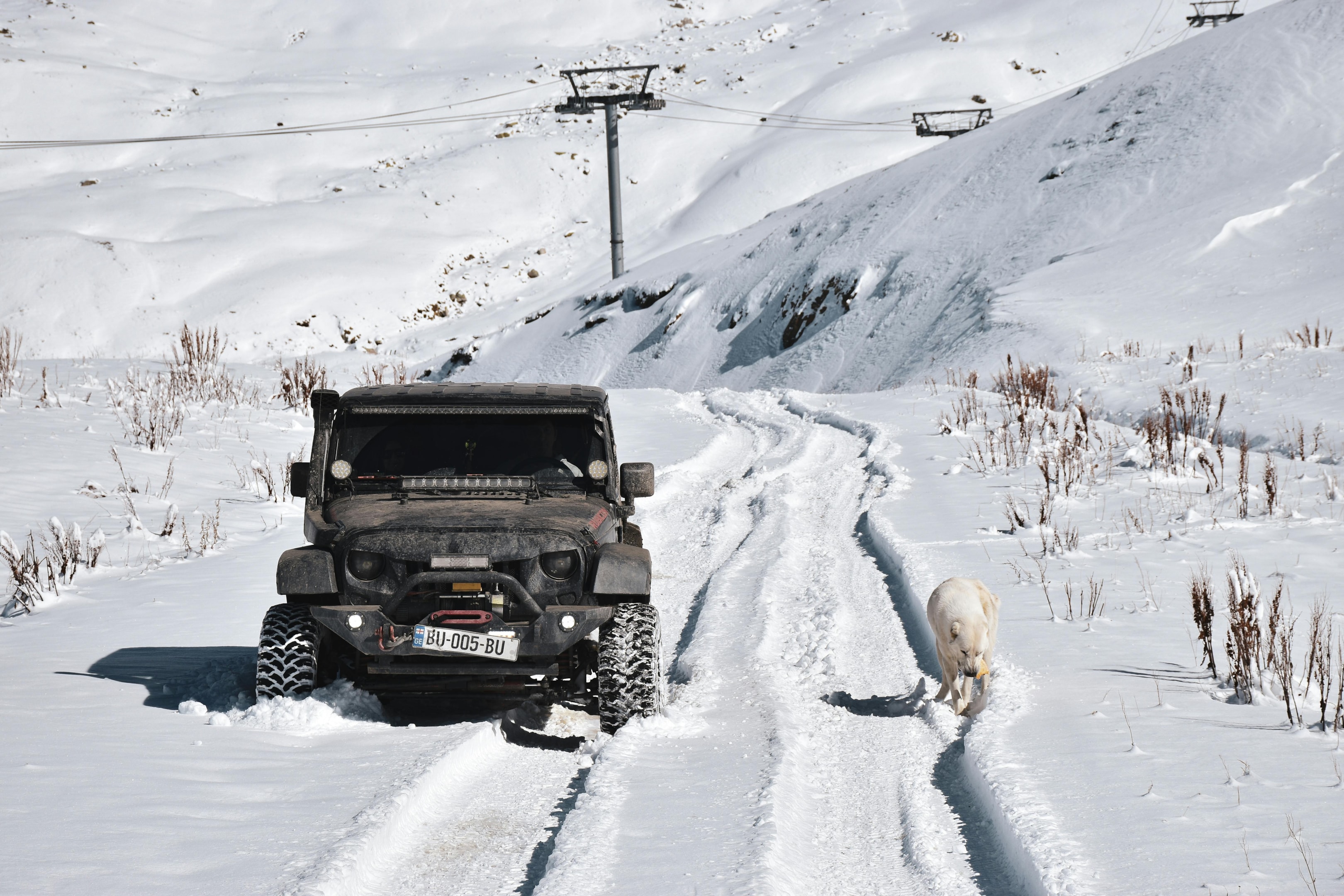 winter tires, all season tires