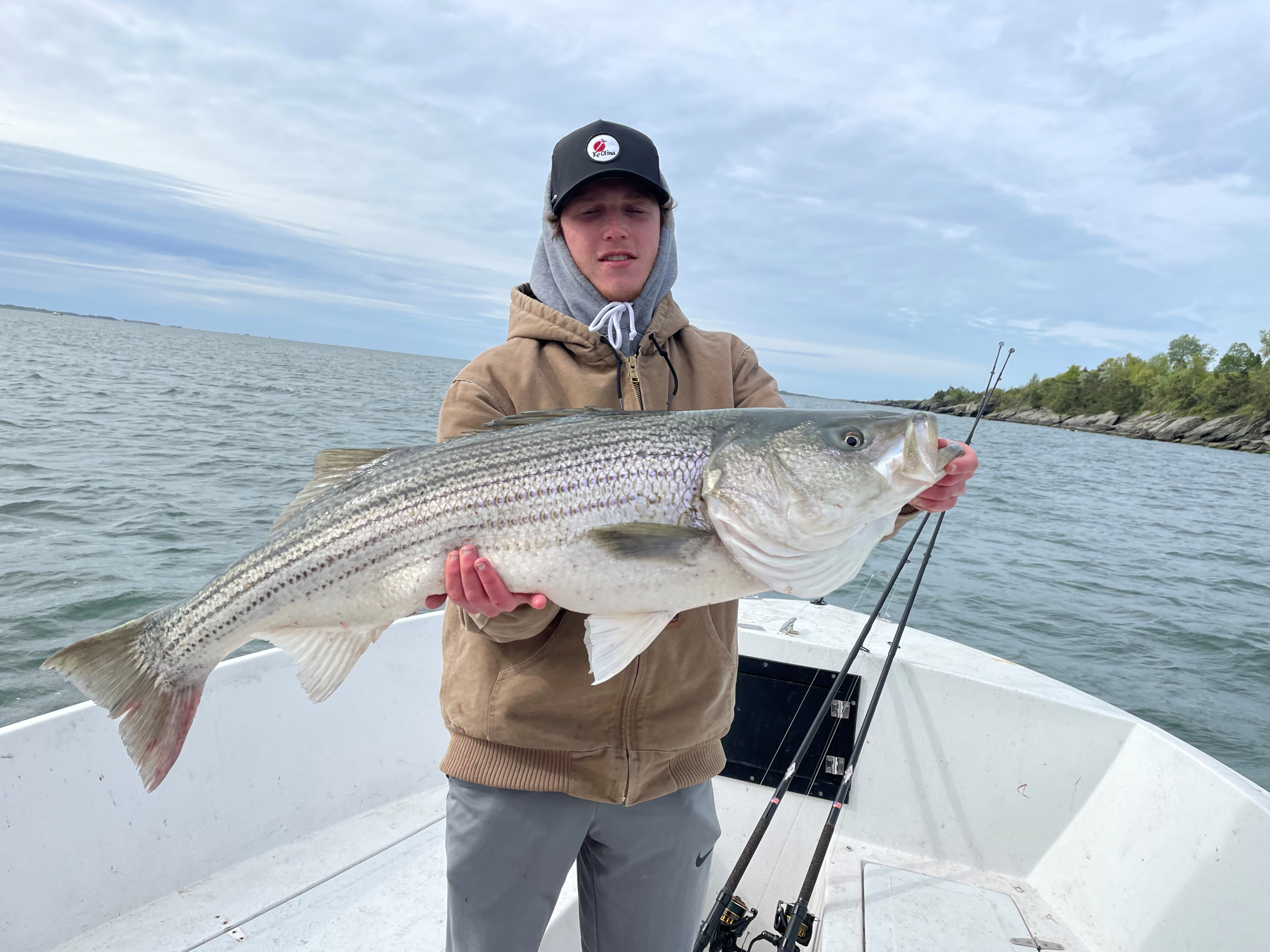 A photo of a Striped Bass caught during Cape Cod fishing, as reported in the cape cod fishing report