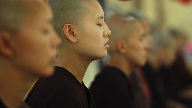 Buddhist Nuns in Meditation
